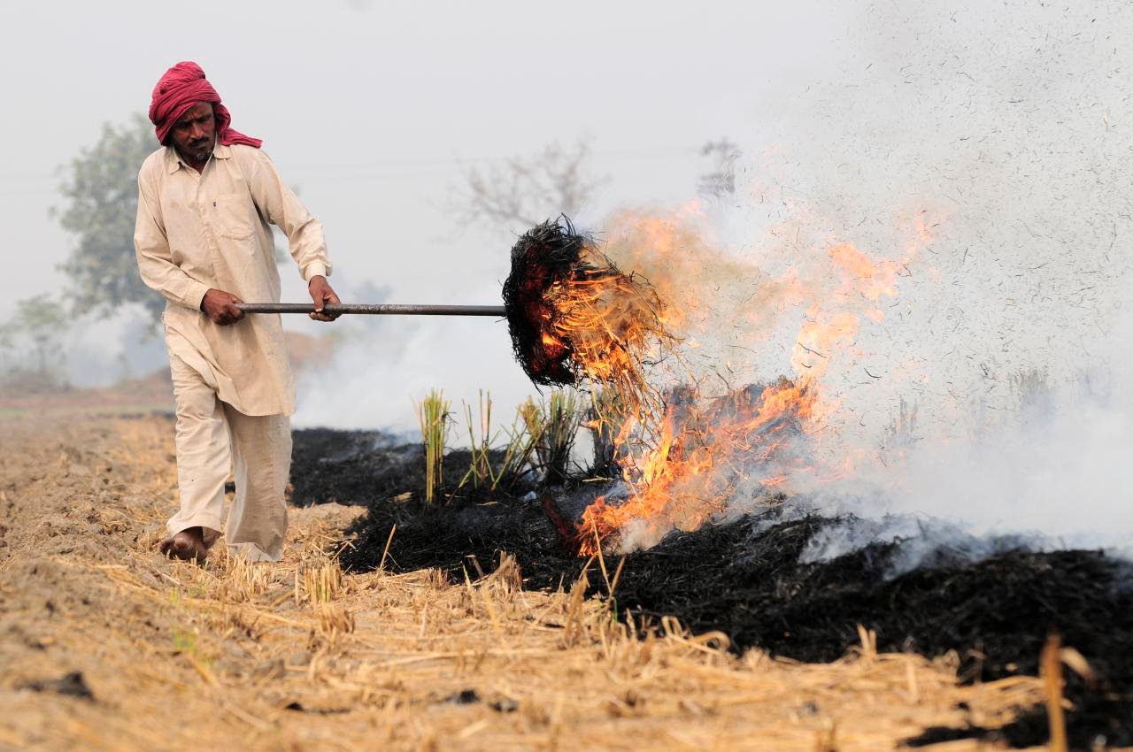 Supreme Court's order on pollution - Stop burning stubble, otherwise our bulldozer will not stop if it runs.