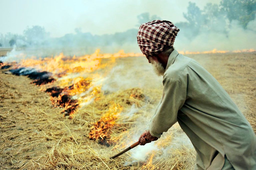 Supreme Court's order on pollution - Stop burning stubble, otherwise our bulldozer will not stop if it runs.