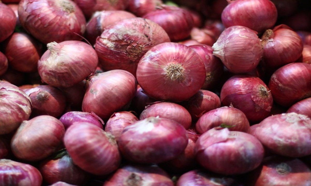 Onion